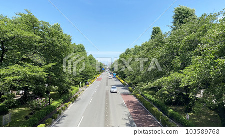 新綠的大道 新綠的大道 103589768