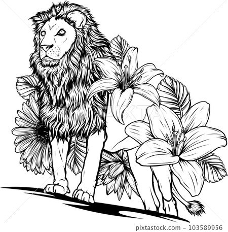 vector illustration of monochrome lion with flower on white background vector illustration of monochrome lion with flower on white background 103589956