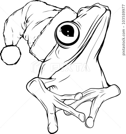 monochrome Cute frog with Christmas hat. vector illustration monochrome Cute frog with Christmas hat. vector illustration 103589977