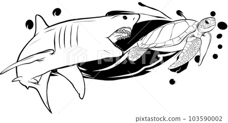 monochrome shark attack sea turtle vector illustration monochrome shark attack sea turtle vector illustration 103590002
