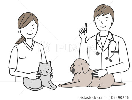 Veterinary hospital staff examining dogs and cats Veterinary hospital staff examining dogs and cats 103590246