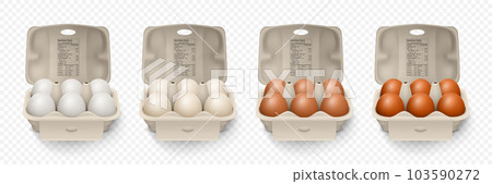 6 Six Vector 3d Realistic White, Brown Chicken Eggs in Opened Carton Paper Box, Container, Packaging. Textured Chicken Egg Set, Isolated. Vector Different Color Whole Eggs. Egg Pack in Front View 103590272