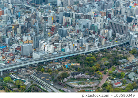 大阪市容 大阪市容 103590349