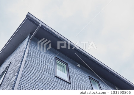 新建獨立屋住宅區獨立屋形象 103590806