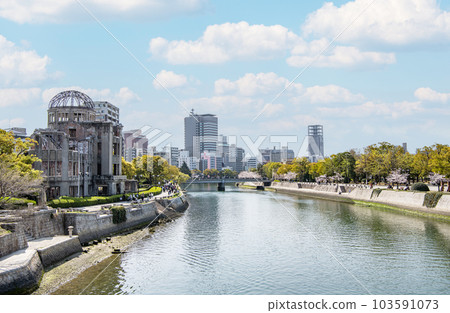 廣島縣廣島市廣島和平紀念公園和櫻花盛開的原子彈爆炸圓頂 103591073