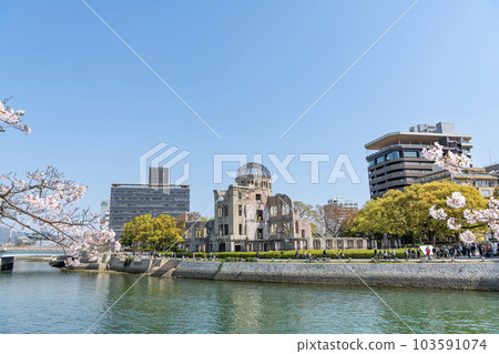 廣島縣廣島市盛開的櫻花、原子彈爆炸圓頂屋和廣島市周邊的街道 103591074