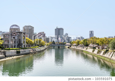 廣島縣廣島市廣島和平紀念公園和櫻花盛開的原子彈爆炸圓頂 103591075