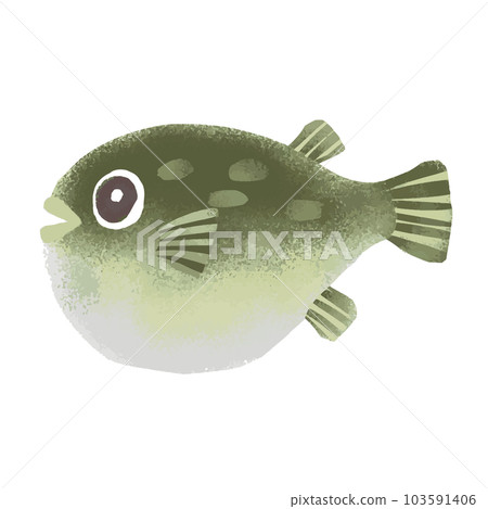 河豚的水彩插圖 103591406