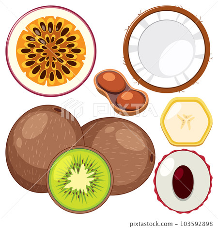 A collection of different fruits 103592898