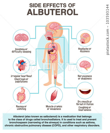 Human anatomy diagram cartoon style of albuterol side effects 103593144