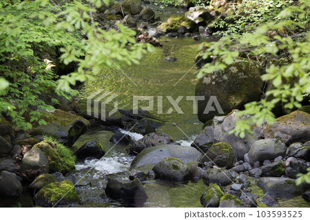 美麗的河流上游和山間溪流的形象 美麗的河流上游和山間溪流的形象 103593525