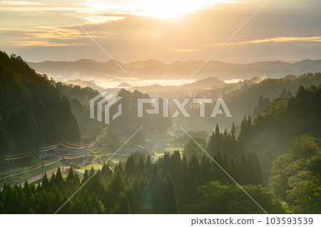 朝陽下的里山 103593539