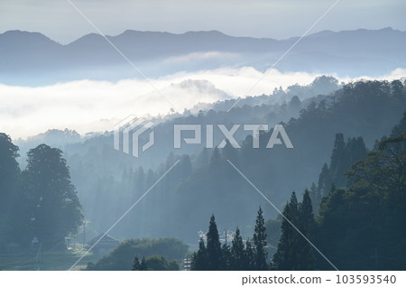 Satoyama早上 103593540