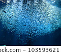 Aquarium 103593621