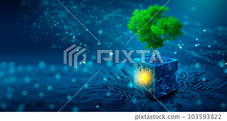 Tree growing on Circuit Digital Cube. Digital and Technology Convergence. Blue light and Wireframe network background. Green Computing, Green Technology, Green IT, csr, and IT ethics Concept. 103593822
