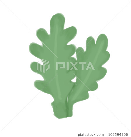 seaweed in watercolor style 103594506
