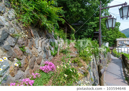 Hot spring town walking path Hot spring town walking path 103594646