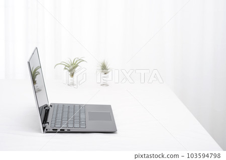Laptop and air plants on white table indoors Laptop and air plants on white table indoors 103594798