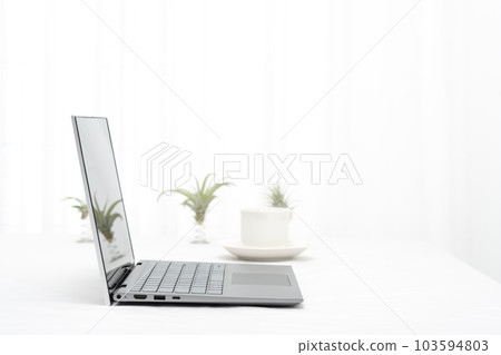 Laptop, air plants and coffee cup on white table indoors Laptop, air plants and coffee cup on white table indoors 103594803