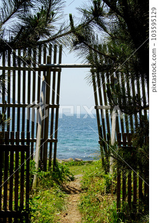 A scenic spot in Fukuoka, the view of the promenade leading to ``Keya no Daimon'' 103595129