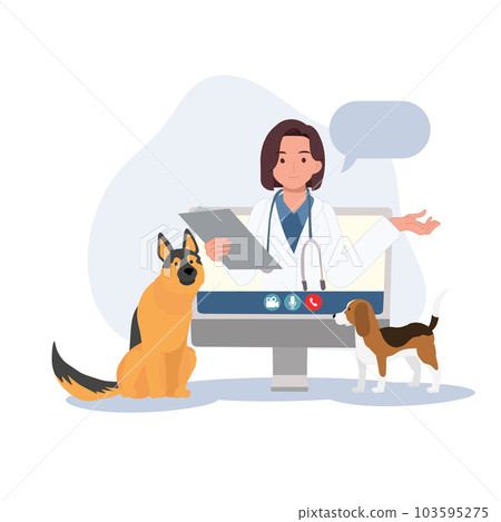 online Veterinary consultation concept. Veterinary doctor appointment. Modern healthcare technologies. Flat vector cartoon illustration online Veterinary consultation concept. Veterinary doctor appointment. Modern healthcare technologies. Flat vector cartoon illustration 103595275