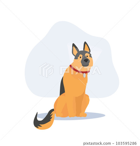 german shepherd Dog with elizabethan collar. Plastic cone of Shame. Flat vector cartoon illustration 103595286