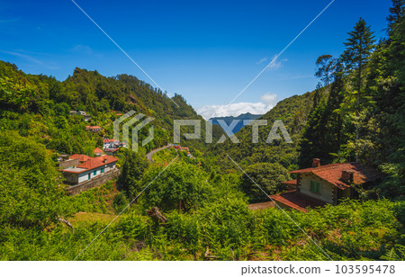 A view from Levada pats in Madeira 103595478