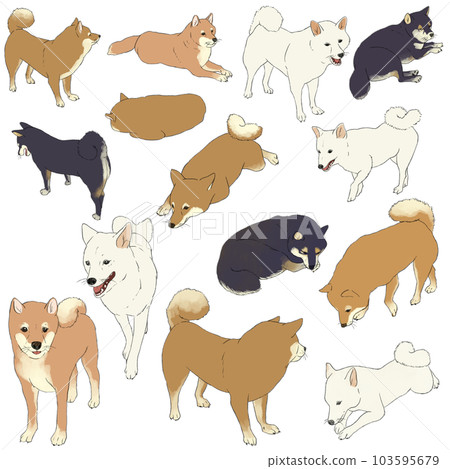 Hokkori Shiba Inu [Transparent data] 103595679