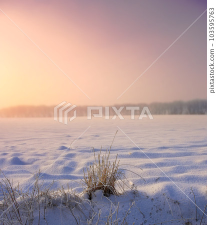 Danish winter landscape. A photo of a winter landscape at sunset. 103595763