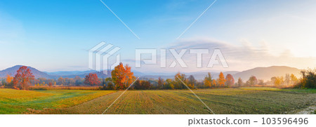 panorama of a carpathian rural landscape at sunrise. arable in front of a forest in colorful foliage. distant mountains in morning light. hazy autumnal atmosphere 103596496