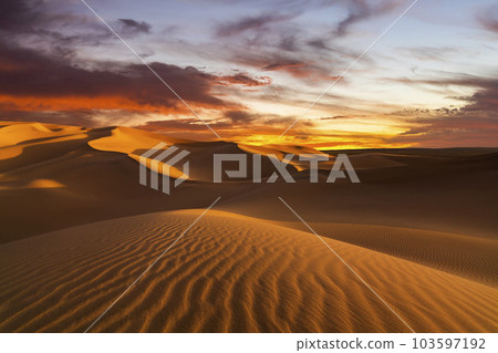 Sunset over the sand dunes in the desert. Arid landscape of the Sahara desert. 103597192