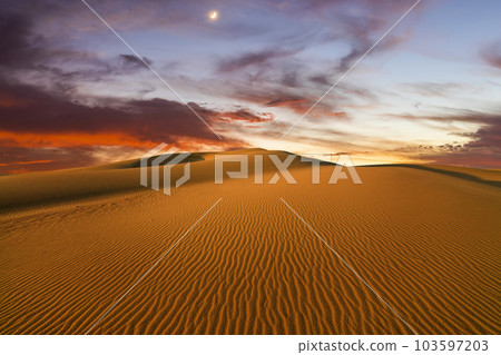 Sunset over the sand dunes in the desert. Arid landscape of the Sahara desert. 103597203