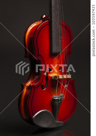 Classic violin on black background. 103597435
