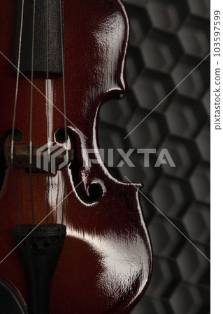 Classic violin on black background. 103597599