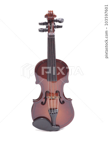 Violin isolate on white background Violin isolate on white background 103597601