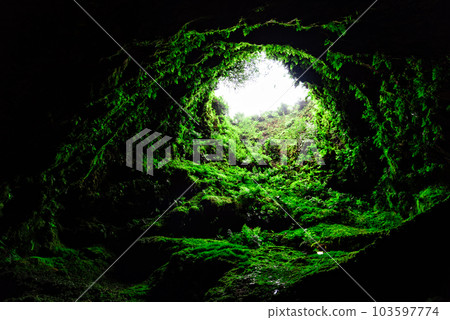 Algar do Carvao, an ancient lava tube in Terceira Island 103597774