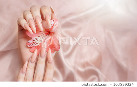 Elegant pastel pink natural manicure. 103599324