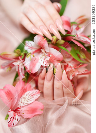 Elegant pastel pink natural manicure. 103599325