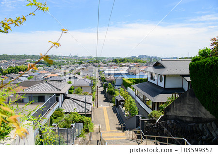 Streets of Seiseki-Sakuragaoka 103599352