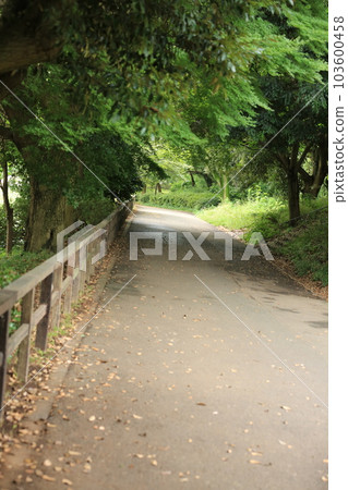 我在三池公園散步 103600458