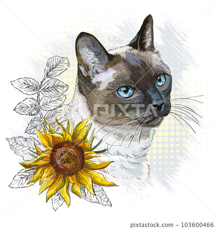 Cute lovely Thai cat in flowers hand drawn vector illustration Cute lovely Thai cat in flowers hand drawn vector illustration 103600466