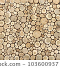 Tree stumps background. Cutting tree trunks placed together for interior decorate. Decoration of cutting tree 103600937