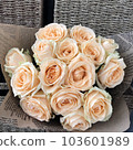 Bunch of beautiful peach roses . 103601989