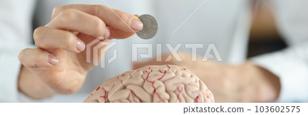 Businesswoman put coin into human brain model 103602575