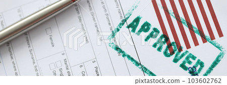 USA visa approved rubber stamp and application form 103602762