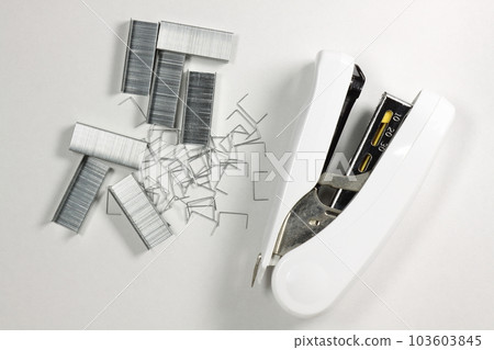 staples and staples staples and staples 103603845