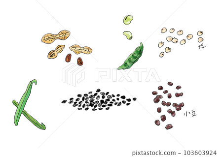 豆類和穀物 豆類和穀物 103603924