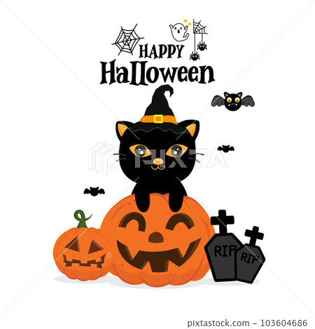 Happy Halloween greeting card with black cat in a witch hat. 103604686