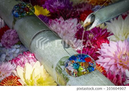 龍河寺（岡寺）上鏡花臉盆--奈良縣高市郡明日香村岡-- 103604907