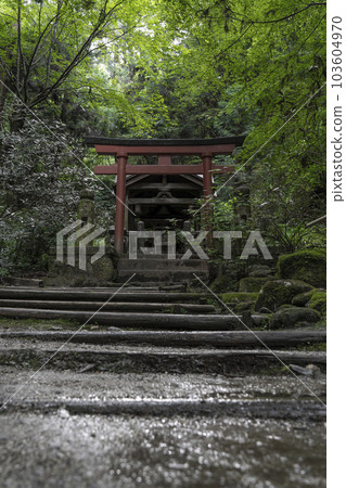 龍河寺（岡寺） 綠意盎然的奧之院稻荷神社 -- 奈良縣高市郡飛鳥村岡 -- 103604970